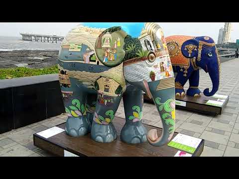 download lagu mp3 mp4 Elephant Exhibition Mumbai, download lagu Elephant Exhibition Mumbai gratis, unduh video klip Elephant Exhibition Mumbai