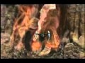 The Cranberries Zombie Wmv