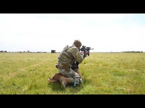 MWD: A Different Breed