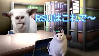 こだパイセンの日常