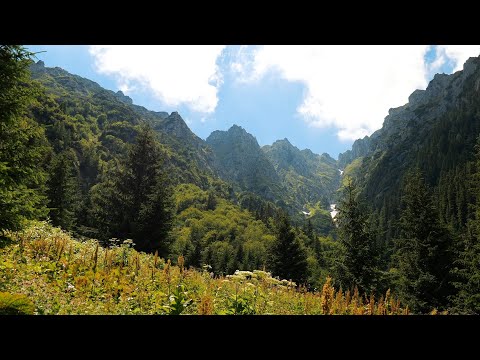 Secvențe 4K de pe traseul prin Pichetul Roșu spre Valea Mălăiești #DeasupraMuntilorRomaniei