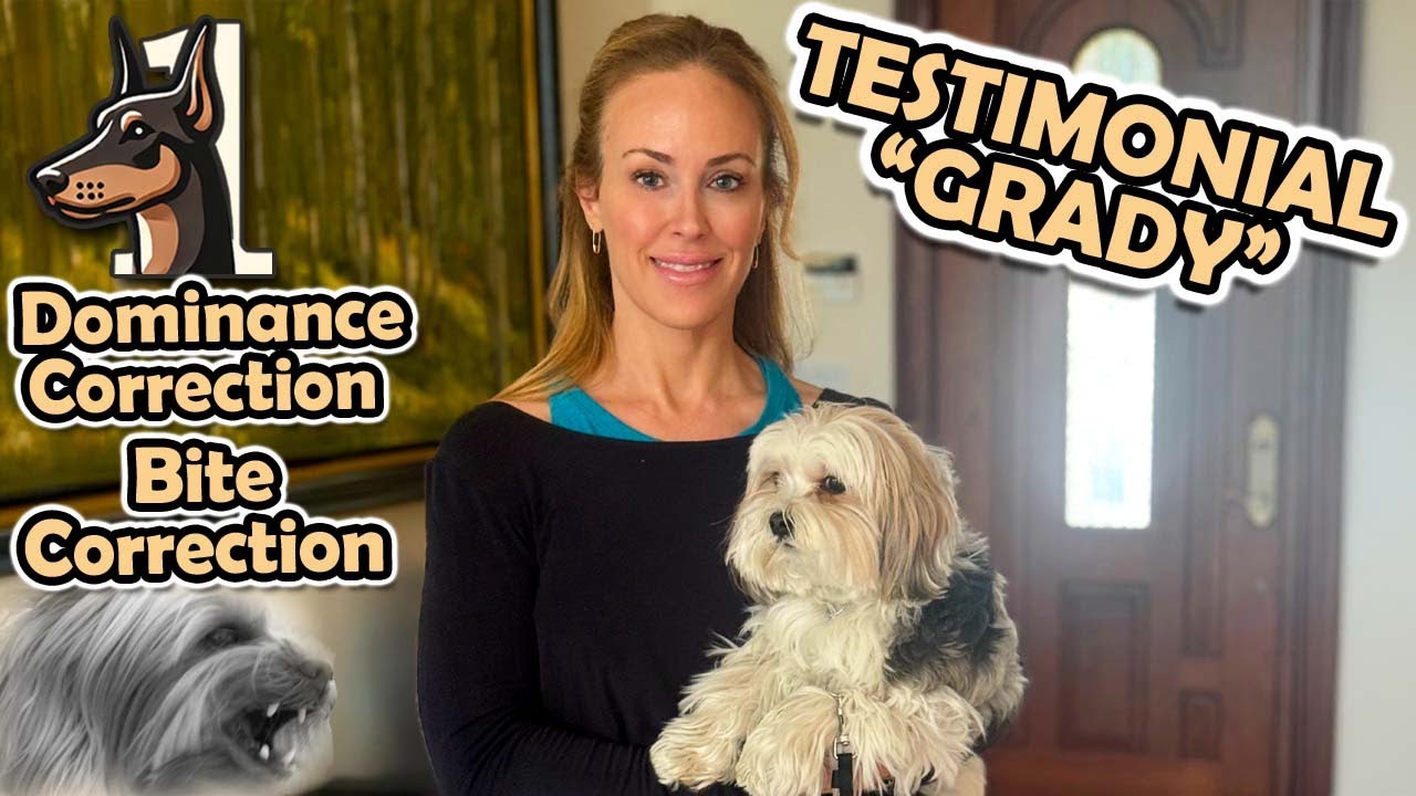 Testimonial Video Thumbnail