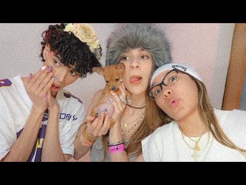 THE NEWEST MEMBER OF THE MARES — ZARAA —🐎🐎🐎🐎