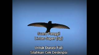 Download lagu Lintas Super (Sp) mp3 Download lagu Lintas Super (Sp) mp3