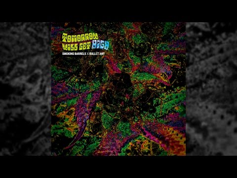 SMOKING BARRELS X BULLET ANT - Tomorrow Will Get High [Official Album Trailer]