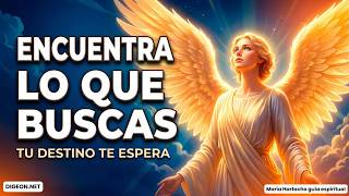 ¿Te Has Abandonado por Miedo? El Fin de Complacer a Todos 💔 |DIGEON|