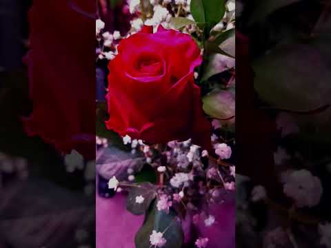 Tango De La Noche_By Wayne Jones :Duration:1:48