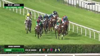 Saint Goustan Blue (Blue Bresil) - wins the Auteuil Group 3 Prix La Perichole Chase 23/06/16