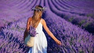 GIOVANNI MARRADI - Freedom