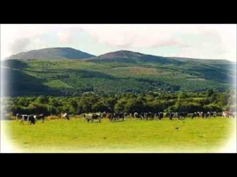 IRISH WALTZ =slievenamon