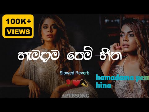 හැමදම පෙම් හීන මැද රෑට ගැවසෙන්න / Ahi Pillamak Athara / Slowed and Reverb