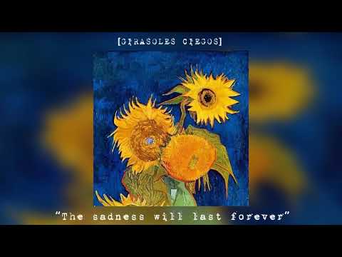 Girasoles ciegos “The sadness will last forever” | Cronin