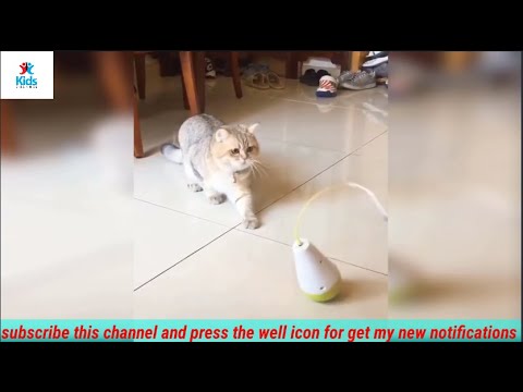 Baby Cats - Cute and Funny Baby Cat Video #cutebaby #cat