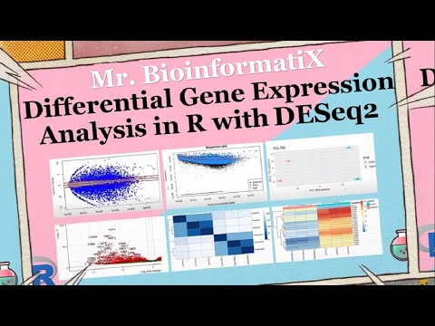 Differential Gene Expression Using R