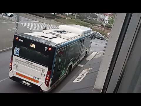 STCP New Buses - 3386 - 801