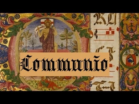 Panem de Cælo - Dominica XIII Post Pentecosten (Communio)
