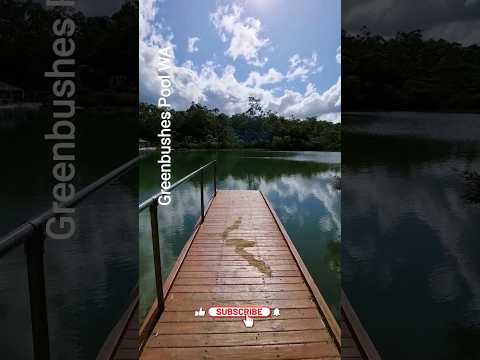 Greenbushs Pool #travel #shorts