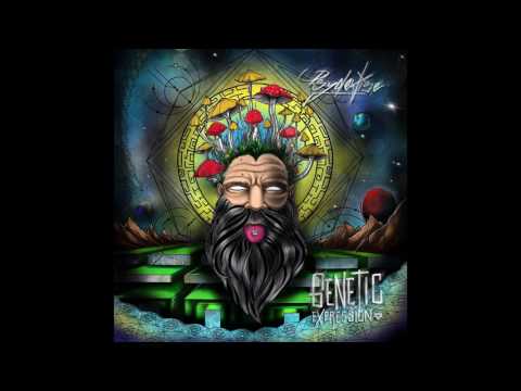 Psydewise - Dimensional Portals