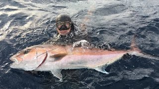Spearfishing Croatia - The Best Of 2016. Spearfishing Croatia - The Best Of 2016.