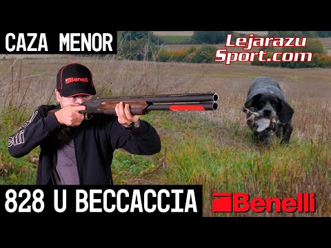 Caza de codornices con la Benelli 828 U Beccaccia + review