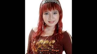 Download lagu Separo rogo reny farida terbaru 2014 mp3