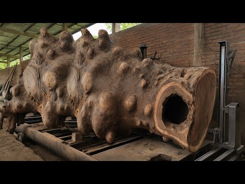 UNEXPECTED DISCOVERY ‼️ This Abandoned Trembesi Wood Hides Surprises at the Sawmill