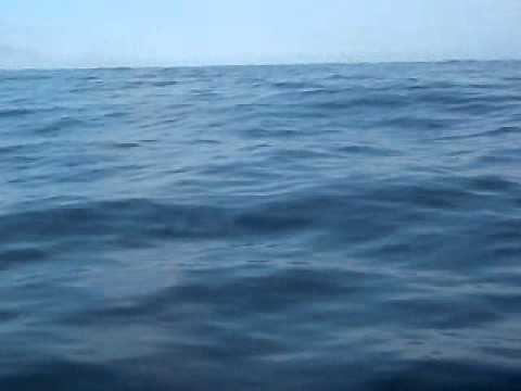 Tofino BC - Kicking Off the 2011 Chinook Season in Style