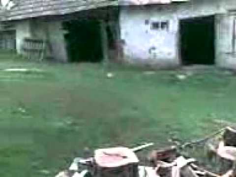 VIATA LA TARA BULGARI SJ 12