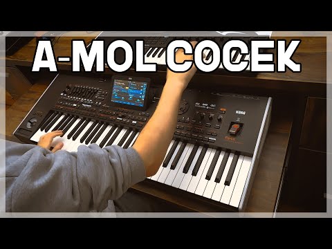 A-mol COCEK - Namenski Ritam I Improvizacija - KORG Pa4x & KONTROL M32!