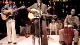 Richie Havens  - Tupelo Honey - 1974