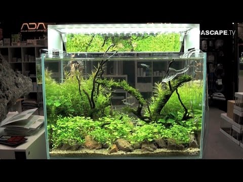 Planted aquariums of Heimtiermesse 2015, Hannover - part 1