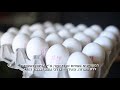 https://www.youtube.com/watch?v=RAWAx_fHj28