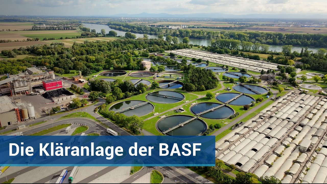 Video: BASF