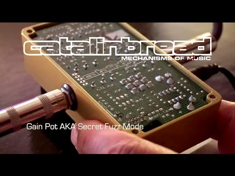 Unlocking Echorec Secrets - Including Fuzz Settings