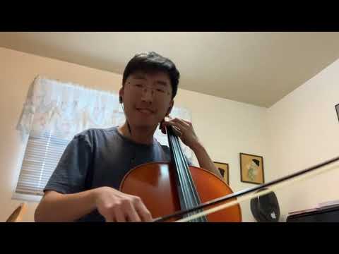 We Found Love - Rihanna (cello cover)