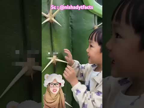 Kereta kaktus 🌵⁉️ @nishadytfacts