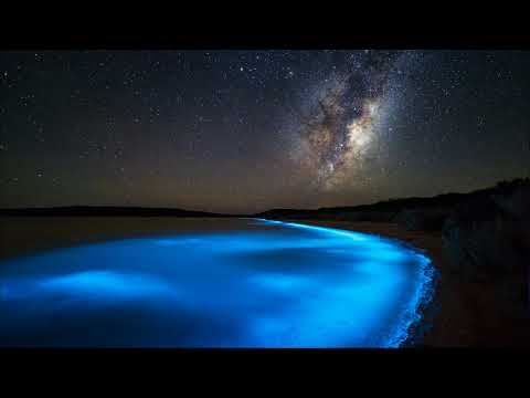 Michael Cassette - David (Cut Version) 1 photo