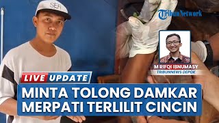 Kaki Burung Merpati Kesayangan Bengkak Terlilit Ring, Pria Depok Panik Minta Tolong Damkar 