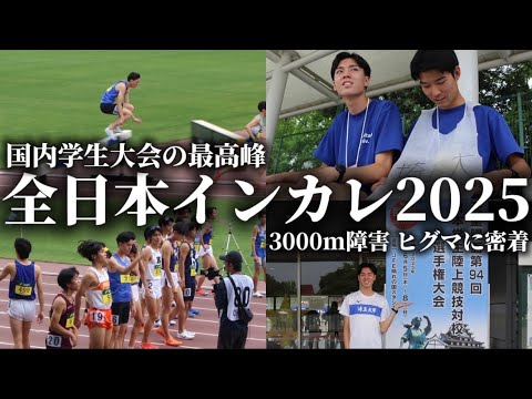 学校教育教員養成課程 【チャンネル史上初】ヒグマが全国大会にでるようです。