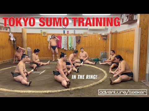 Tokyo Sumo Training: Experience the World of Sumo Wrestling for Free! #japan #sumo #explore