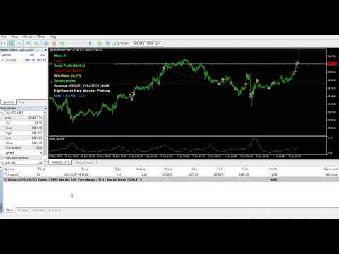 Video PipBandint Pro