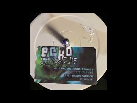 Echo Allstars 5  - Underground Addicts  - Feel The Vibe
