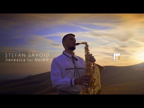 Ștefan Săvoiu - Jieneasca lui Nechit