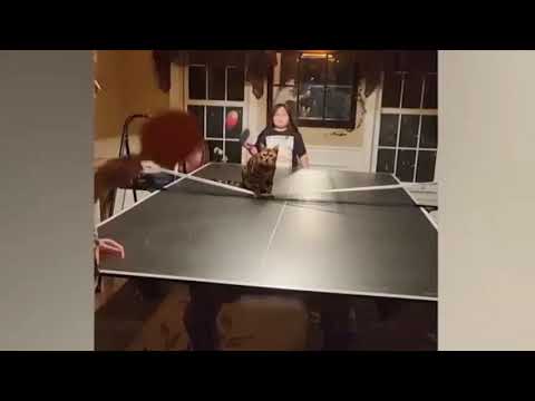 Funny_Animal_Videos_2023_😅😅