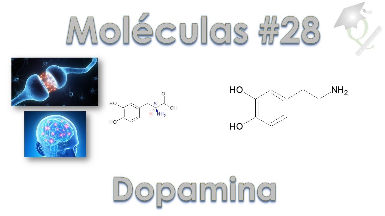 Uma Molécula por Dia #28 Dopamina
