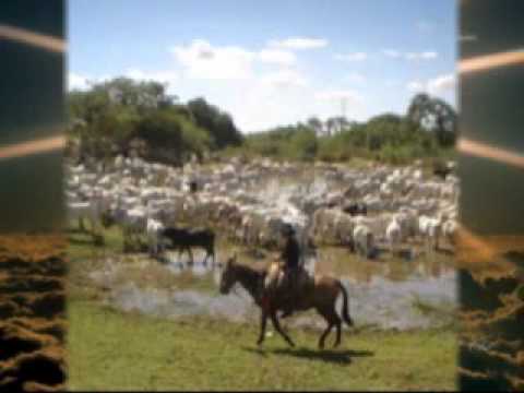 download lagu mp3 mp4 Abel E Caim O Milagre Da Traio, download mp3 Abel E Caim O Milagre Da Traio free download mp3, download mp3 Abel E Caim O Milagre Da Traio