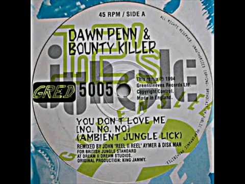 Dawn Penn & Bounty Killer - You Don't Love Me (No No No) (Ambient Jungle Lick)