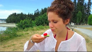 Gourmet Raw Food Treats, Our Private Boat Trip & Salsa Dancing | 40BelowFruity