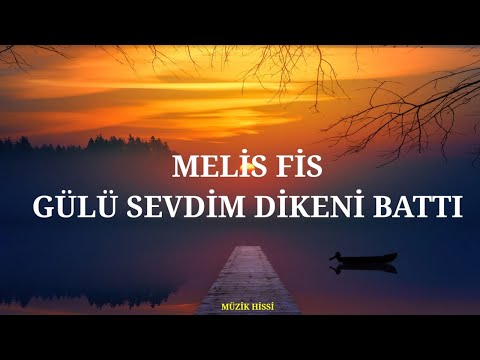 Melis Fis - Gülü Sevdim Dikeni Battı (Sözleri/Lyrics)
