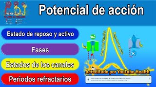 Action potential (summarized) | Action potential neuron | Action potential physiology